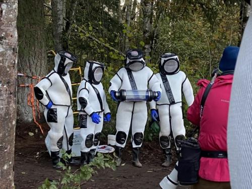 В США нашли и уничтожили первое гнездо азиатских Шершней - Убийц. 07