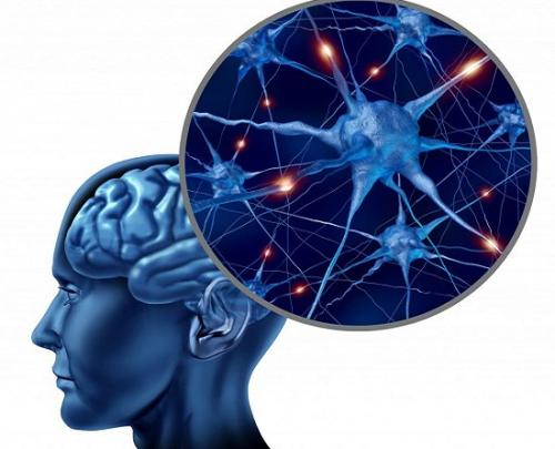 Учёные научились включать и выключать либидо! Учёные научились включать и выключать либидо!