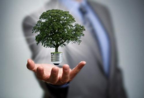 4 инновации из мира живой природы. 
