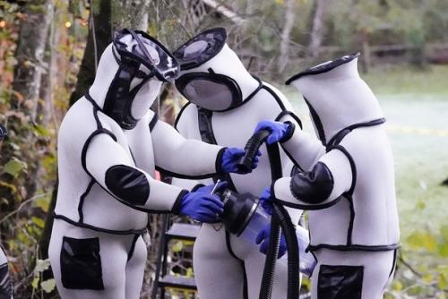 В США нашли и уничтожили первое гнездо азиатских Шершней - Убийц. 02