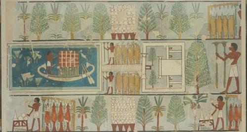 Древнеегипетский сад, который долго искали. 01 Древнеегипетский сад, который долго искали. 01