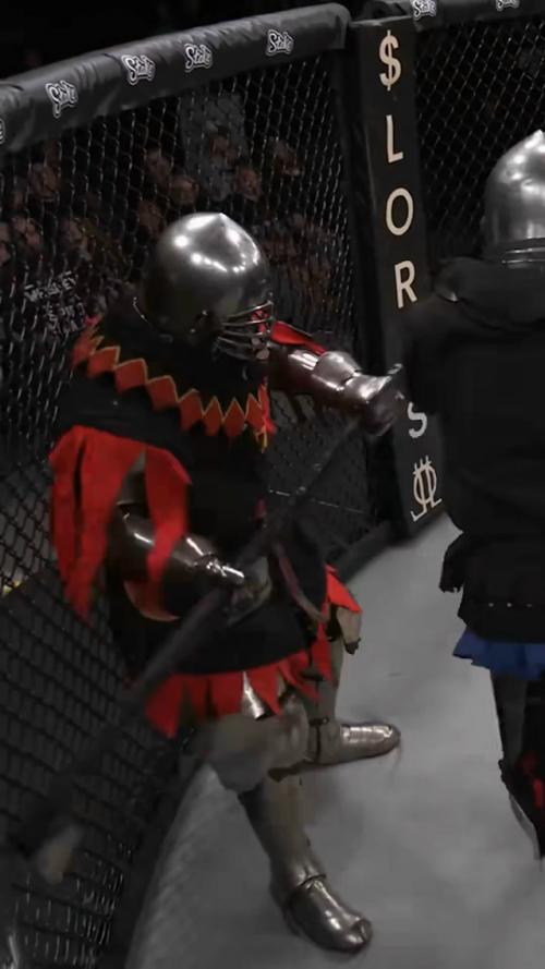 В соединённых штатах проводятся турниры Armored MMA, где бойцы выступают в полном средневековом доспехе.  