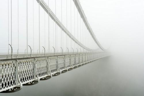 10 кадров, которые очаровали даже профессиональных фотографов. 07