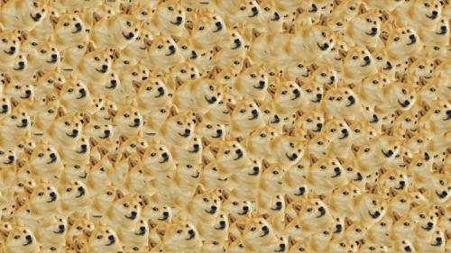 В китайском городе тяньцзин будет построен крупнейший в мире центр клонирования собак, коров, лошадей и других животных.