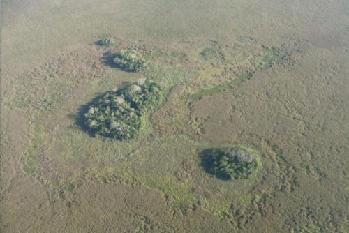 На Амазонке найдены древние Искусственные Острова возрастом около 10 лет. 01 На Амазонке найдены древние Искусственные Острова возрастом около 10 лет. 01