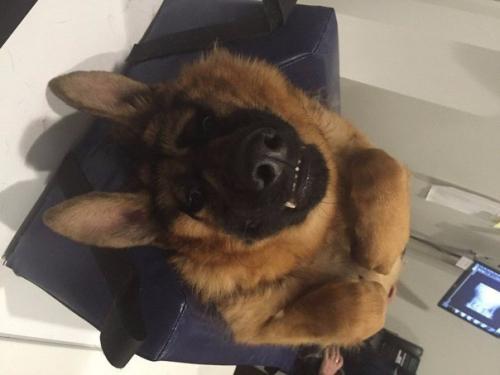 Когда внешность совсем не важна. 01