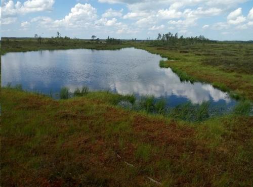 Вилла вампиров и камень лжи: 5 мистических мест калининградской области. 02 Вилла вампиров и камень лжи: 5 мистических мест калининградской области. 02