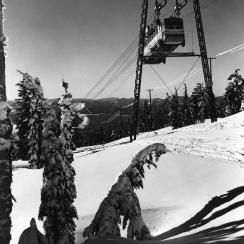 Старинные фотографии фуникулёра Skiway Sky Bus, который использовался на горе худ. 03