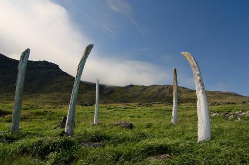Аллея, по которой вам не захочется прогуляться. 01
