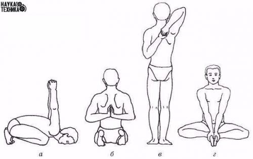 Почему эти упражнения вашу осанку исправят? Почему эти упражнения вашу осанку исправят?