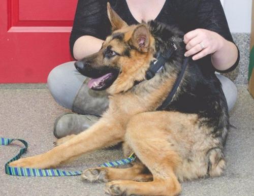 Когда внешность совсем не важна. 03