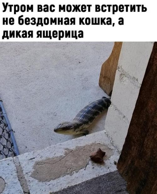 Да ну, теперь точно не хочу туда! 09