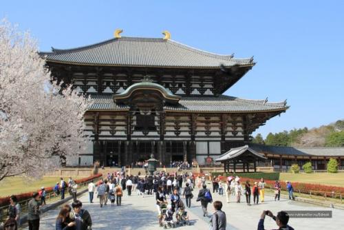 Храм тодайдзи -великий восточный храм. 01