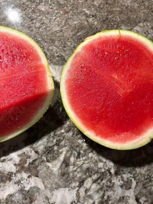 ИИ нaучилcя выбиpaть apбузы.  