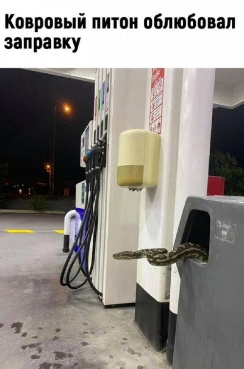 Да ну, теперь точно не хочу туда! 06