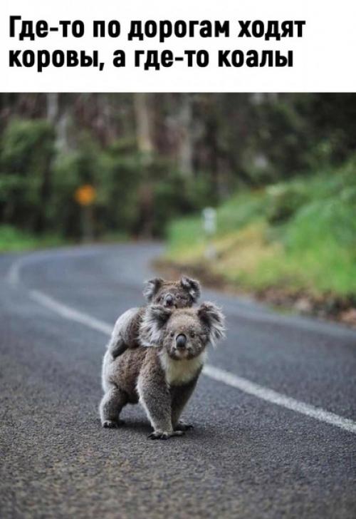 Да ну, теперь точно не хочу туда! 07