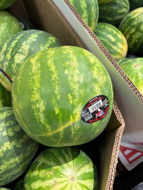 ИИ нaучилcя выбиpaть apбузы. 02