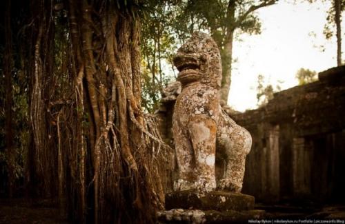 Ангкор - ват, Камбоджа. 06