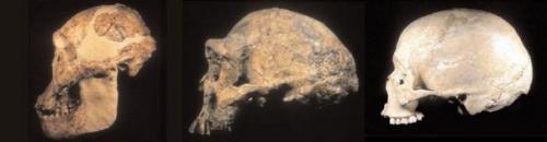 Хорошее питание - залог большого ума.

