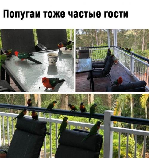 Да ну, теперь точно не хочу туда! 05