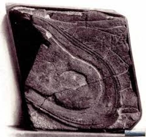 Вертолет и след ботинка. 01 Вертолет и след ботинка. 01