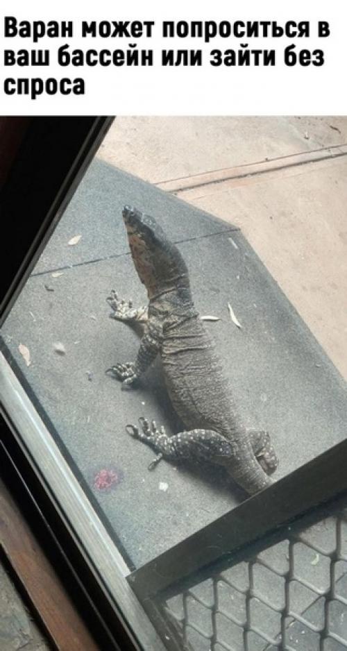 Да ну, теперь точно не хочу туда! 02