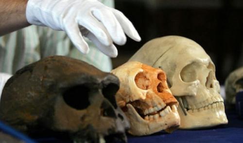 Хоббиты с Филиппин. 03