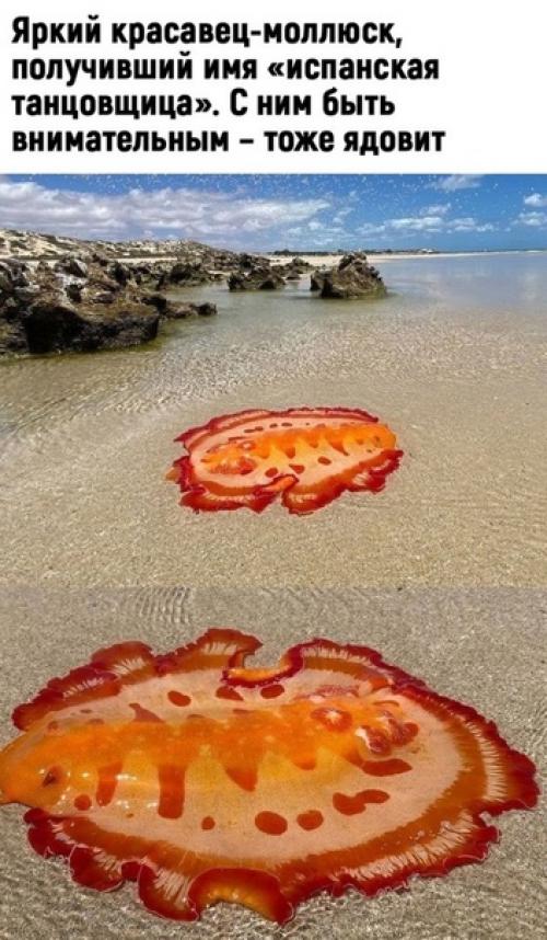 Да ну, теперь точно не хочу туда! 04