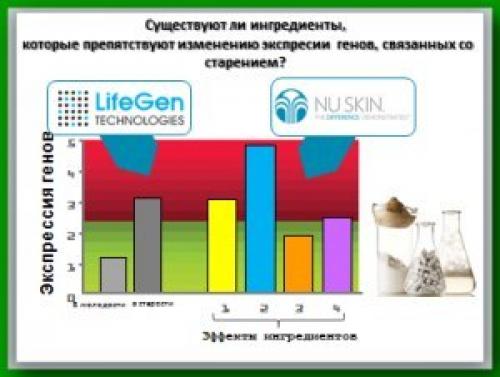 Экспрессия генов. Что такое экспрессия генов?