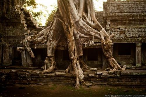 Ангкор - ват, Камбоджа. 05