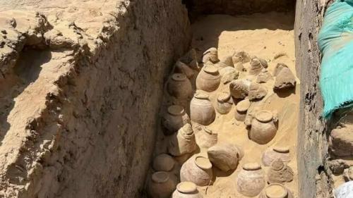 Винные горшки из леванта в гробнице меретнейт.
