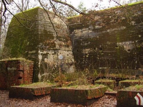 На бункер Вольфшанце не падали бомбы! На бункер Вольфшанце не падали бомбы!