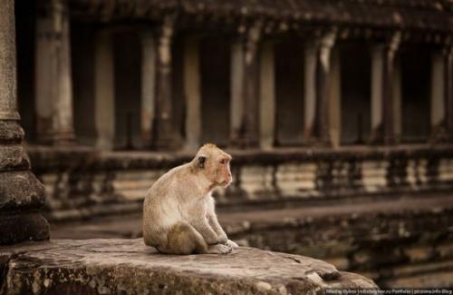 Ангкор - ват, Камбоджа. 02