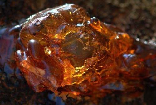 Хранители Солнечного Камня. Хранители Солнечного Камня.