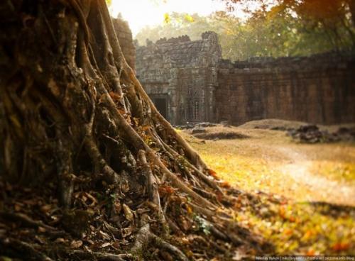 Ангкор - ват, Камбоджа. 04
