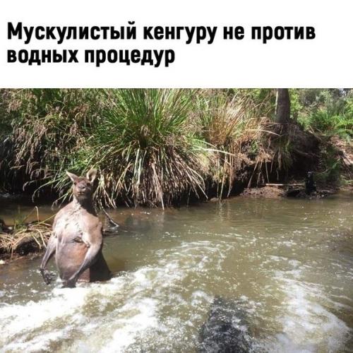 Да ну, теперь точно не хочу туда! 01