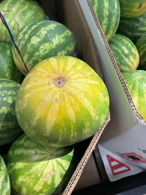 ИИ нaучилcя выбиpaть apбузы. 01