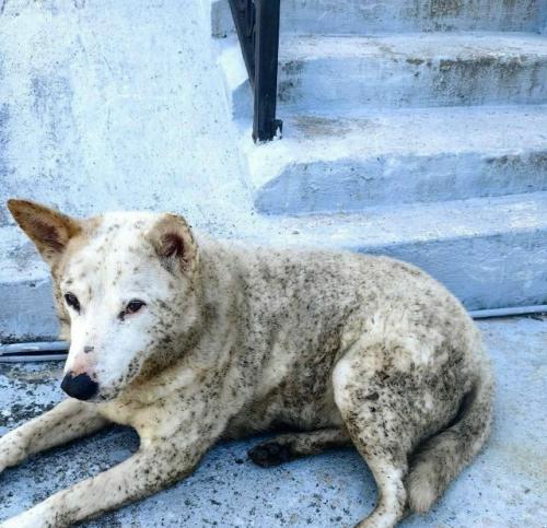 В Туапсе третий день тушат пожар на НПЗ, в округе экологическая катастрофа. 01