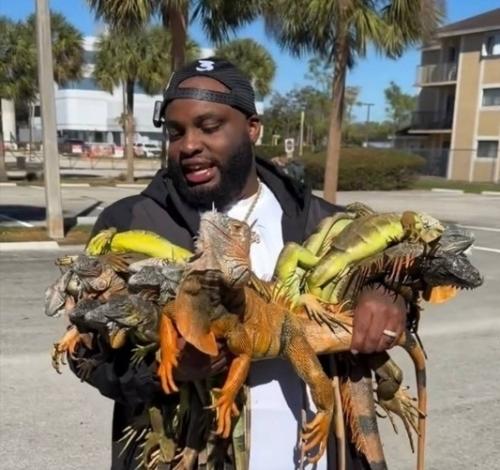 31 января 2026 года во флориде произошло то, что местные жители назвали Дождем из Игуан. 05