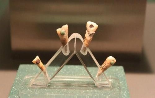 Зачем Майя инкрустировали зубы драгоценными камнями? 02