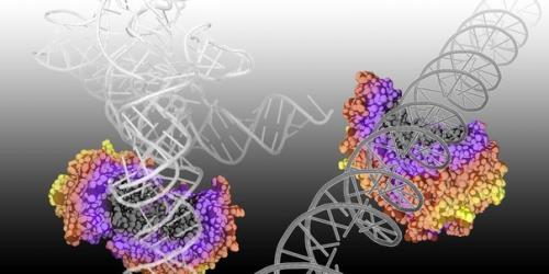 Ученые: Молекулярный нож заставил вич мутировать и прятаться. Ученые: Молекулярный нож заставил вич мутировать и прятаться.