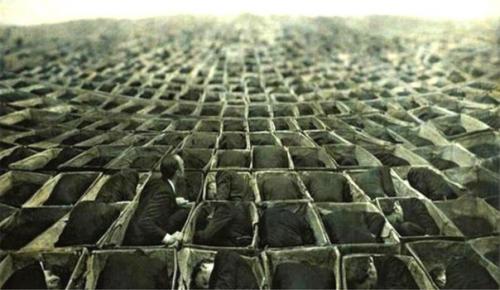 Адаптация к неопределенности. Адаптация к неопределенности.