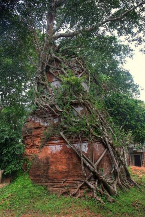 Древний город кох кер. 01 Древний город кох кер. 01