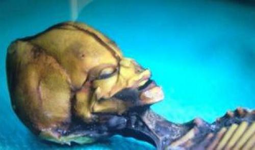 Пришелец ли? Ezomir. Пришелец ли? Ezomir.