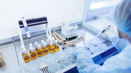 В Бразилии исследовательницу арестовали за кражу вирусов из лаборатории.

