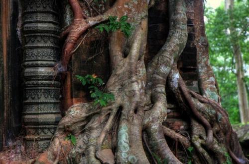 Древний город кох кер. 03 Древний город кох кер. 03