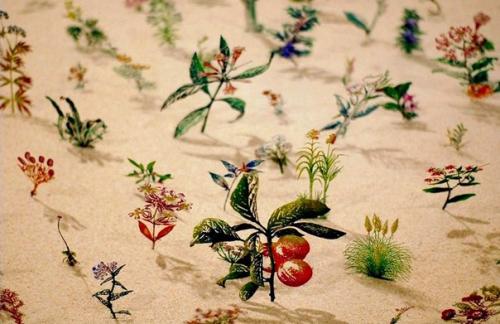 27 мая с 12: 00 до 20: 00 на биологическом факультете МГУ пройдет научный фестиваль 