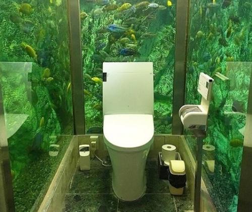 Известен туалет - аквариум кафе Hipopo Papa в городе Акаси, префектура хиого. 02