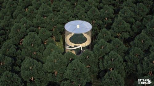 Архитектор из Казахстана невероятный дом с деревом внутри разработал. 06