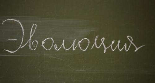 Скоро мы запустим проект Эволюция: от микробов до границ вселенной. 03